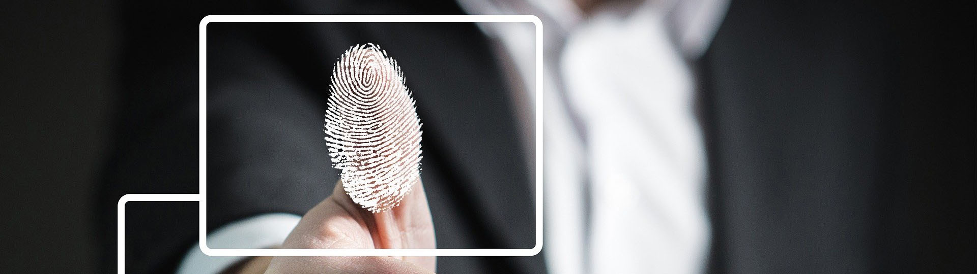Stylized Image of Fingerprint Scan